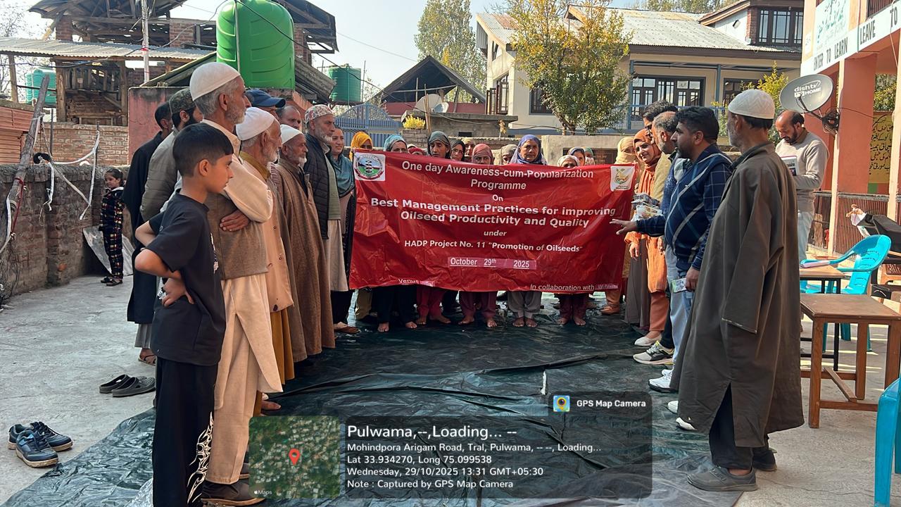 Best management practices for improving oilseed productivity and quality